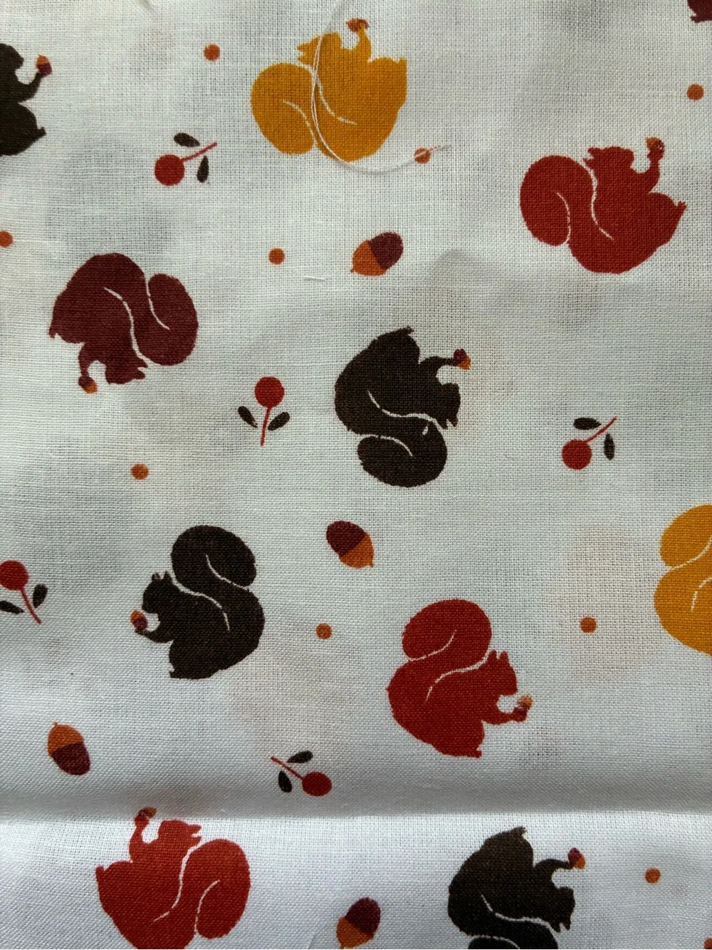Autumn Squirrel Fabric - Quilting Cotton 🐿️🐿️🐿️
